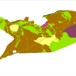 Clee Hills Bracken Cover Survey