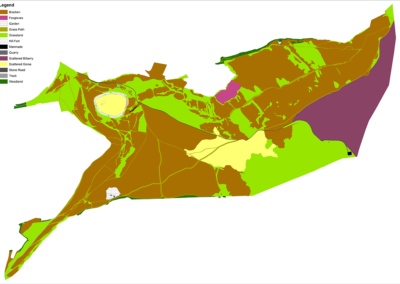 Bracken Feasibility Study