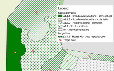 Habitat mapping using ArcGIS and QGIS