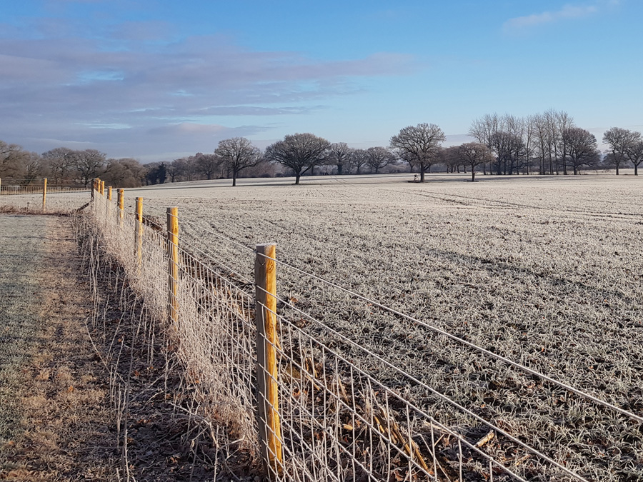 Farmland boundary fencing