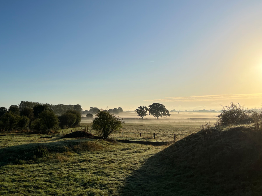 Dawn mist over farmland