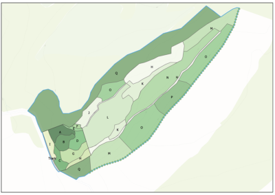 Biodiversity Net Gain Survey and Assessment