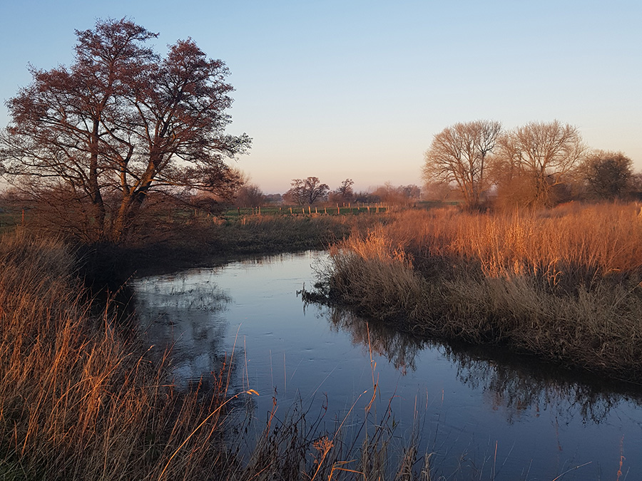 Riverbank in Autumn