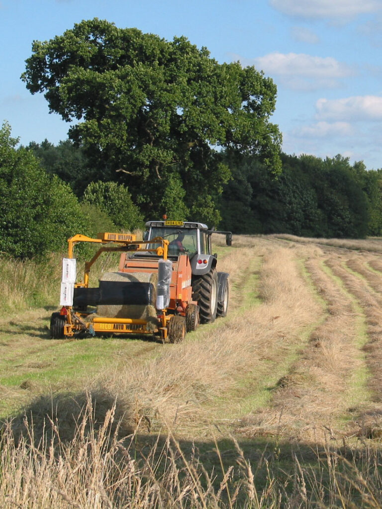 Tractor in field